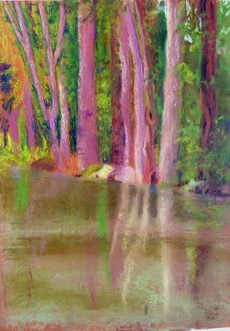 marais poitevin 1